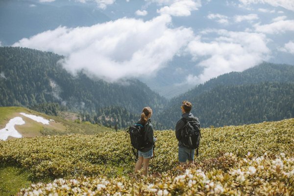 Équipement Essentiel pour une Trousse de Secours Parfaite en Camping Sauvage
